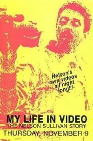 Nelson Sullivan's Video Diaries movie poster