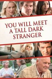 You Will Meet a Tall Dark Stranger movie poster