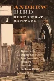 Andrew Bird: Here's What Happened movie poster