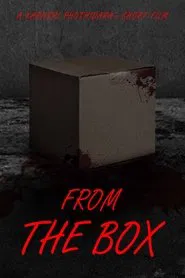 Poster do filme FROM THE BOX