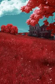 Poster do filme Braddock, PA