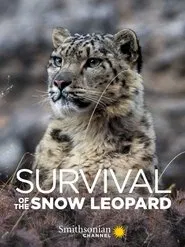 Survival Of The Snow Leopard movie poster