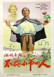 Poster do filme The Man Who Did Not Bother With Trifles