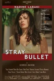 Stray Bullet movie poster