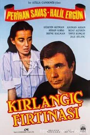 Kırlangıç Fırtınası movie poster