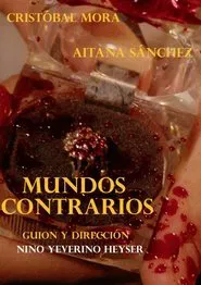 Poster do filme Mundos Contrarios
