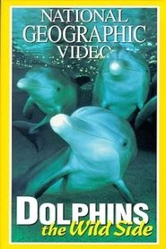 Dolphins: The Wild Side movie poster