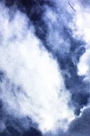 Fast nur wolken (+ blumen) movie poster