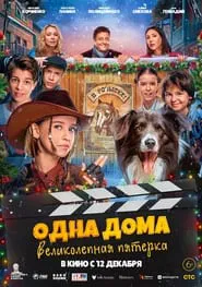Poster do filme Alone at Home. The Magnificent Five
