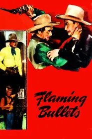 Flaming Bullets movie poster