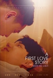A First Love Story tv show poster