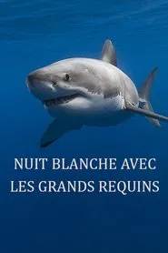 Poster do filme Nuit blanche avec les grands requins