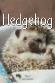 Hedgehog movie poster
