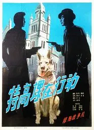 The Secret Service in Action movie poster