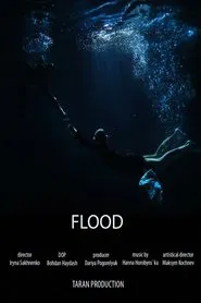 Poster do filme Flood