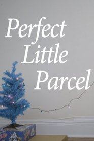 Perfect Little Parcel movie poster