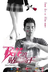 Mr Bodyguard tv show poster