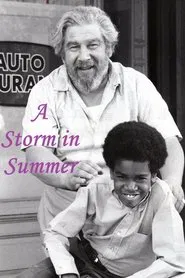 A Storm in Summer movie poster