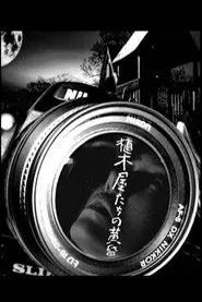 Dusk of the Peeping Toms movie poster