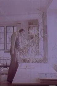 Robert Walser movie poster