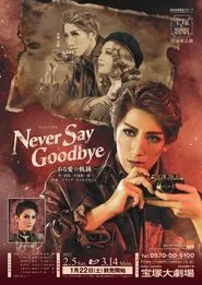 Never Say Goodbye movie poster