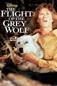Poster do filme Meu Amigo Lobo