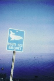 La route des baleines movie poster