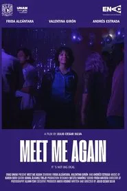 Meet Me Again movie poster