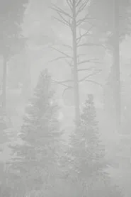 Poster do filme Open Heart Warrior