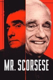 Mr. Scorsese tv show poster