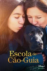 Poster da série Escola de Cão-Guia
