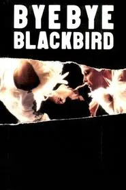 Bye Bye Blackbird movie poster