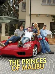 Poster da série The Princes of Malibu