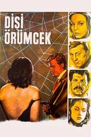 Poster do filme Dişi Örümcek