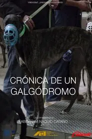 Crónica de un galgódromo movie poster