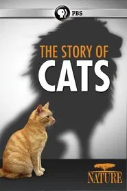 The Story of Cats movie poster