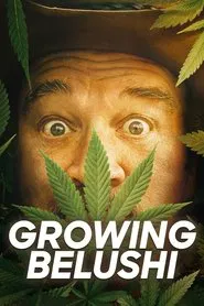 Growing Belushi tv show poster