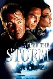 After the Storm movie poster