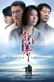 Poster da série 领养