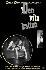 Poster do filme The White Cat