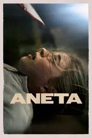 Poster do filme Aneta