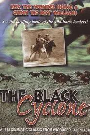 Black Cyclone movie poster