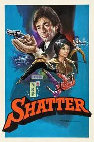Poster do filme Me Chamam o Destruidor