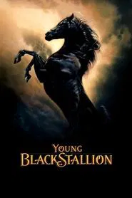Young Black Stallion movie poster