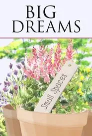 Poster da série Big Dreams Small Spaces