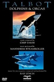Talbot Dolphins & Orcas movie poster