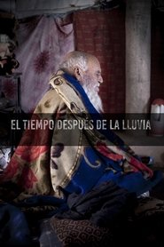 The time after the rain movie poster