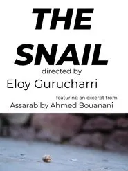 Poster do filme The snail