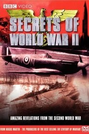 Poster da série Secrets of World War II