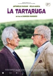 Poster do filme La tartaruga